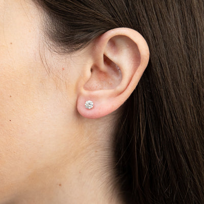 Luminesce Lab Grown Diamond Solitaire Stud Earrings in 14ct White Gold